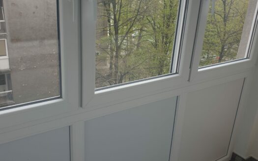 Dvosoban stan za izdavanje, Kralja Petra Prvog, 400€, 60m²