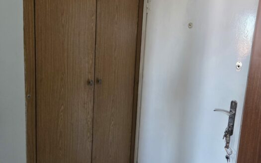 Jednosoban stan za izdavanje, Prote Smiljanića, 200€, 31m²